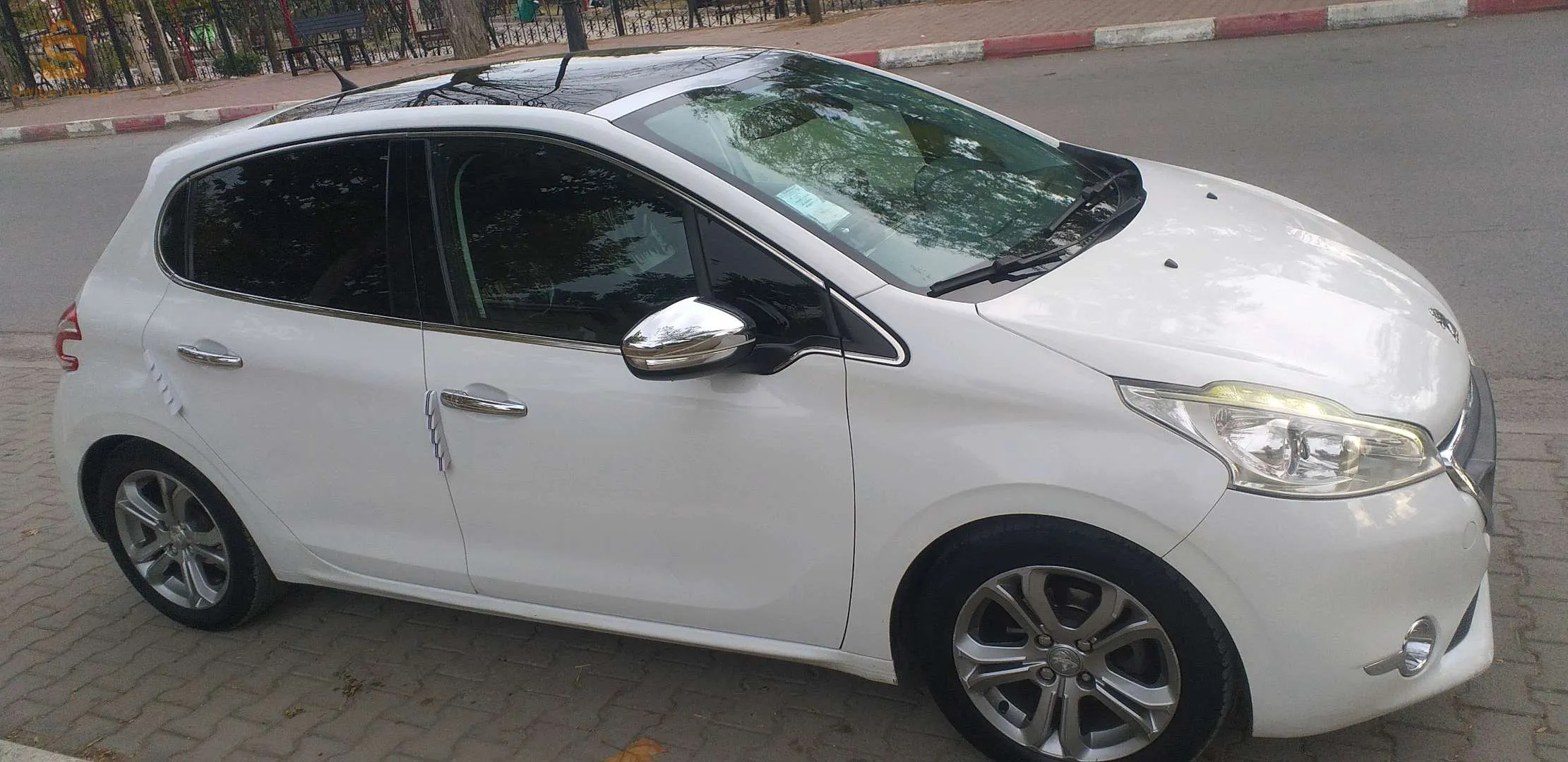 سطيف