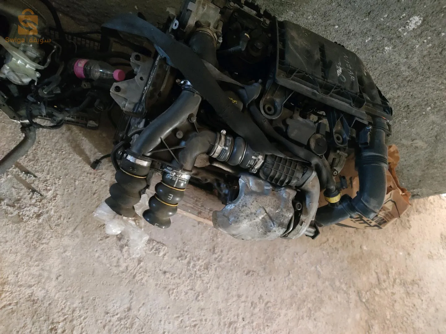 تكسلانت باتنة