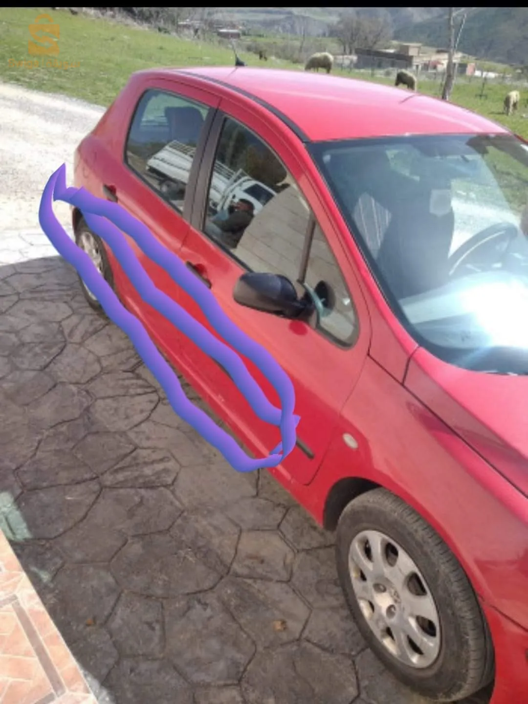 سطيف