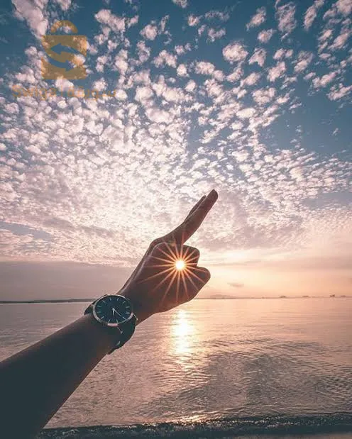 نخدم بلومبي كالفي