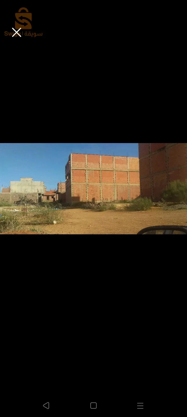 مستغانم