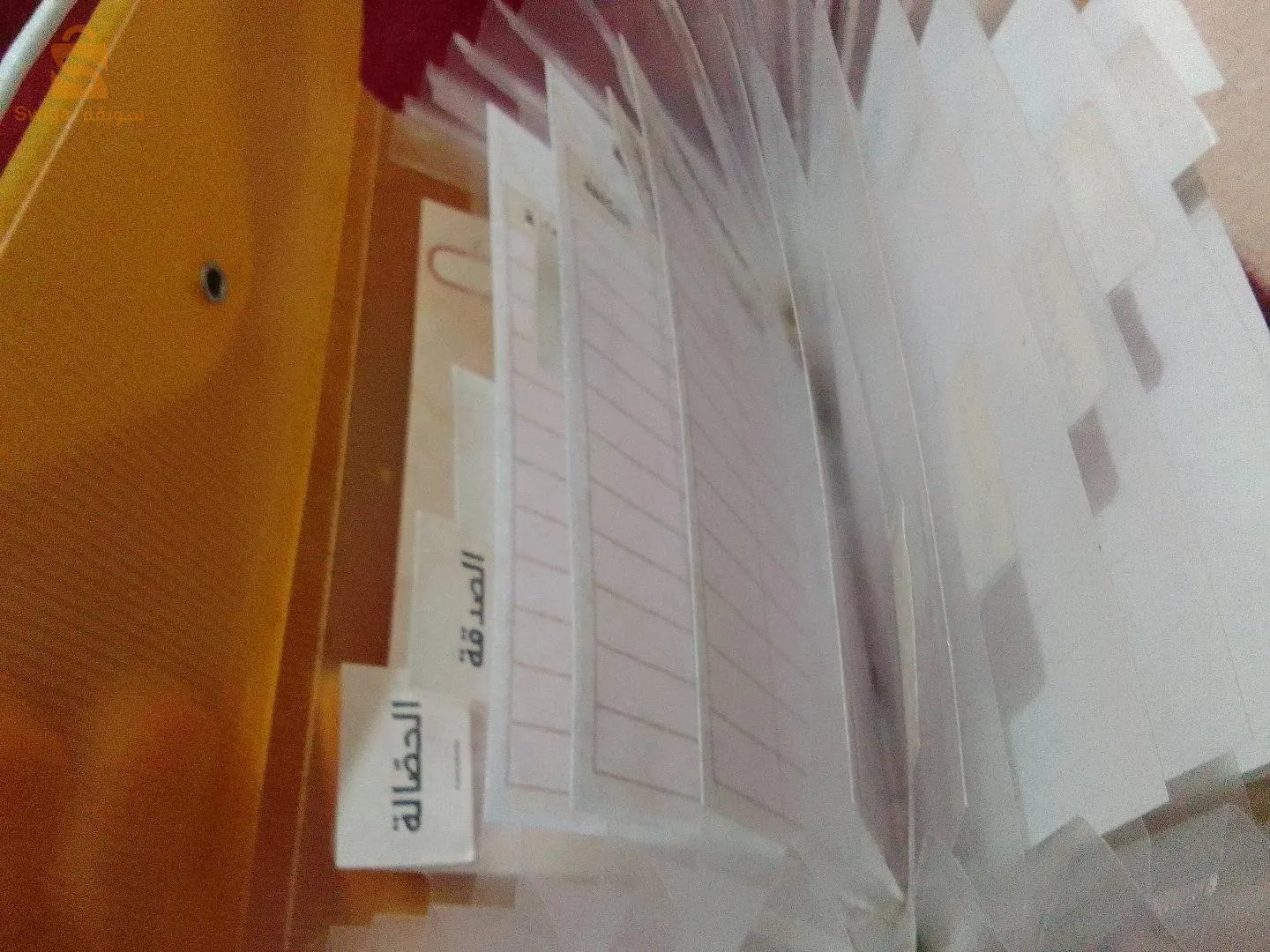 منظم الميزانية