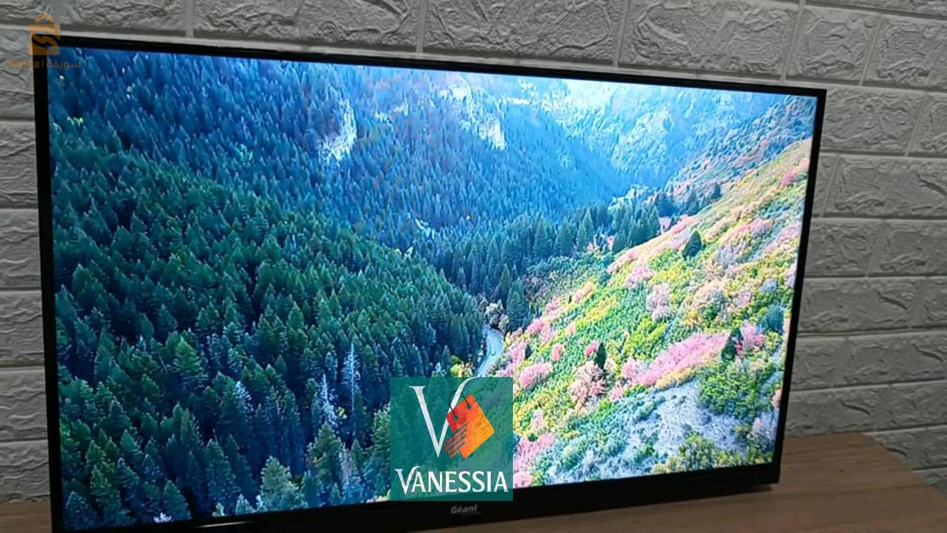 Téléviseur Géant 32 Pouces