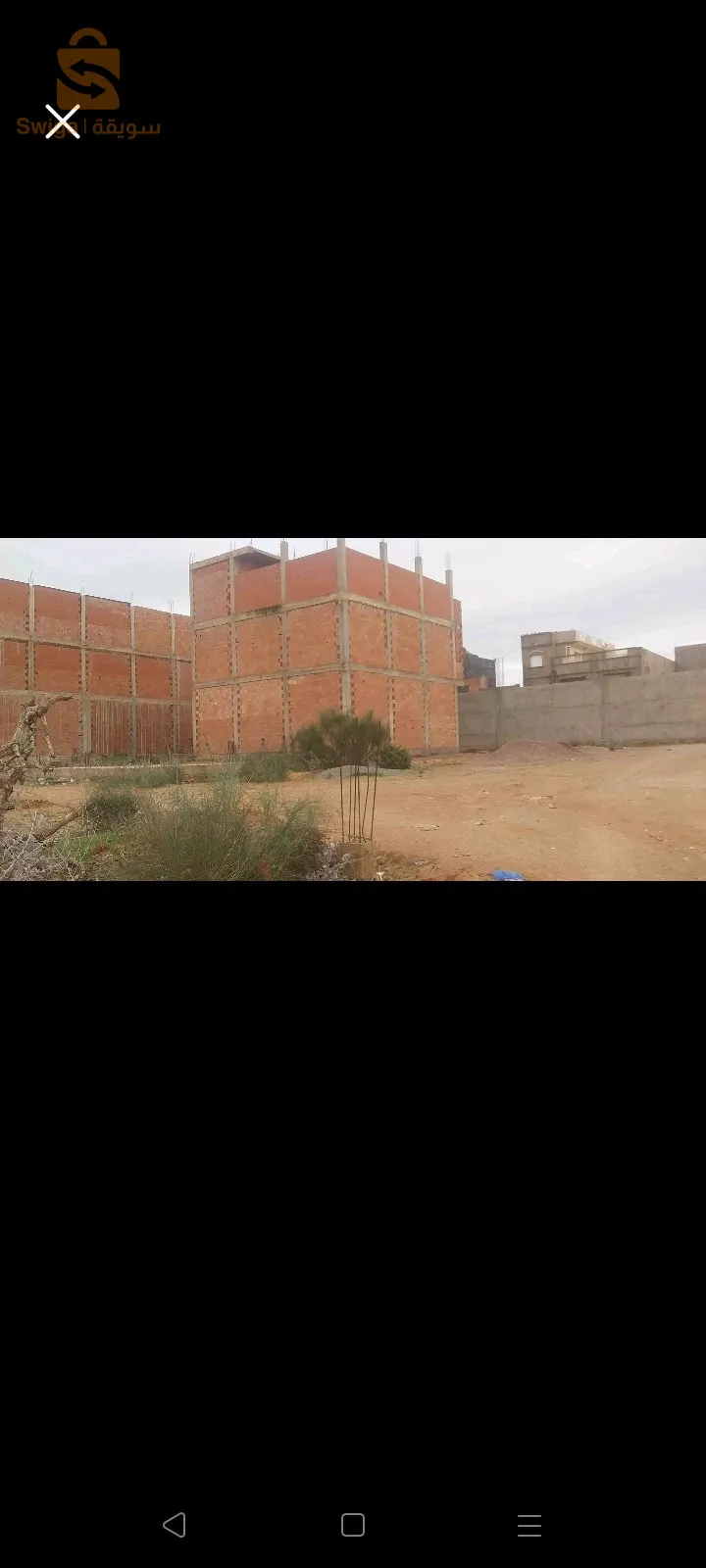 مستغانم
