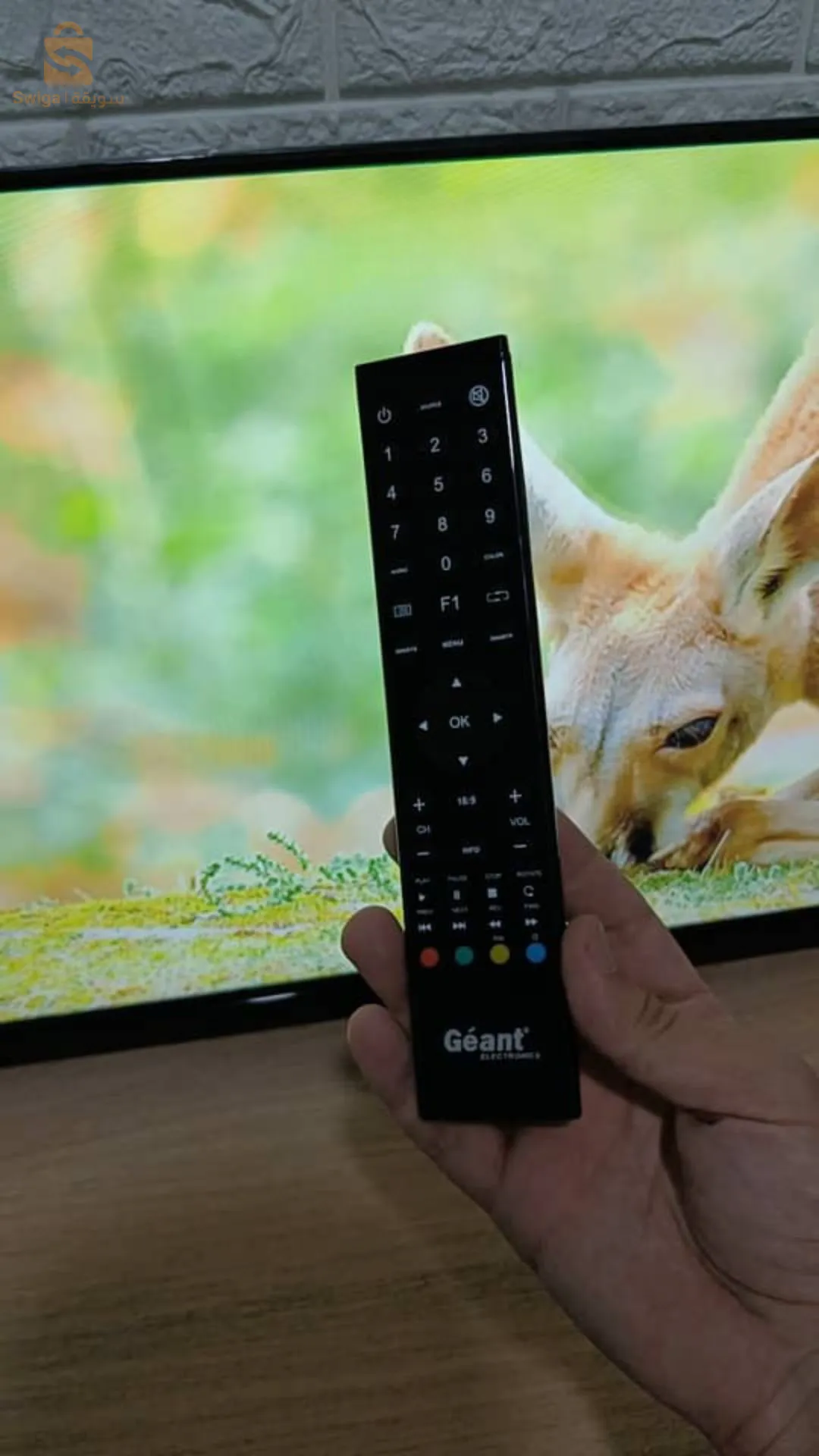 تخفيض تلفزيون 32 بوصة نوع عادي جيو