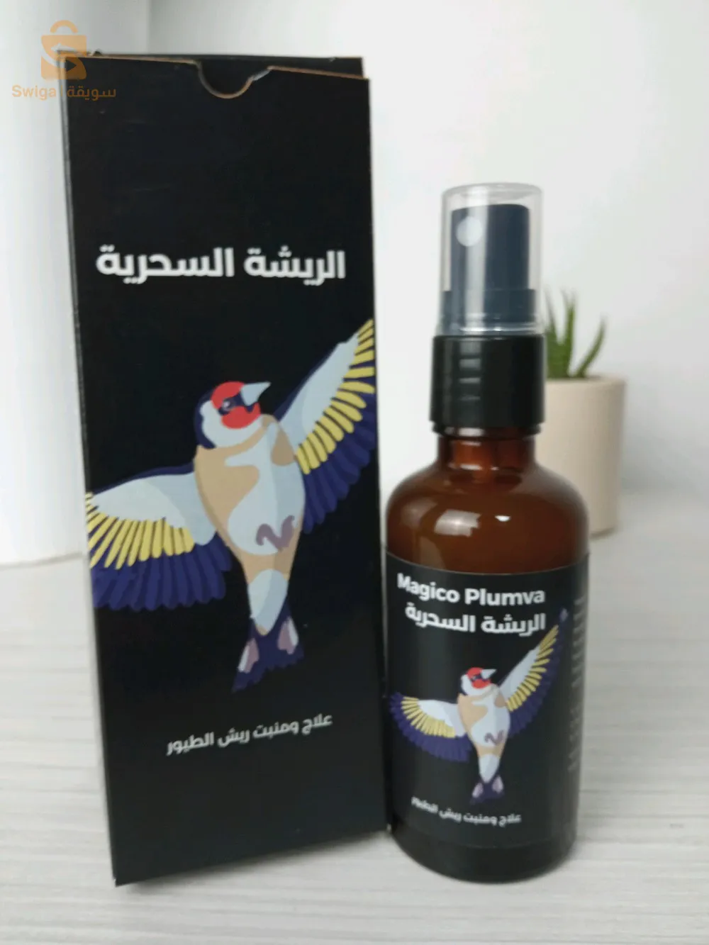 تخلص من تفرطيس سقاط