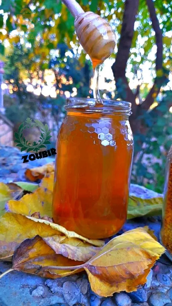 عسل +حبوب الطلع +عكبر +غذاء ملكي