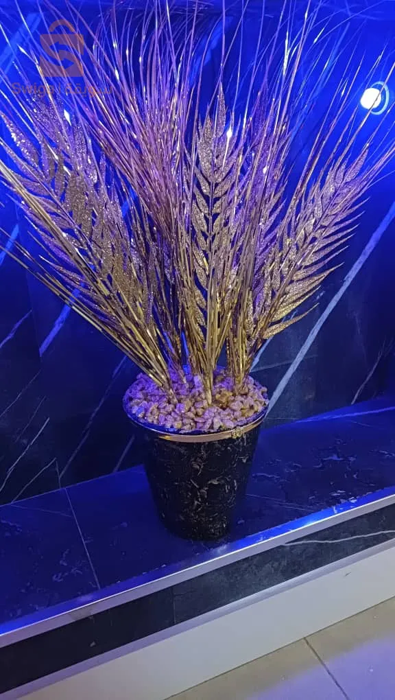 صور الغزلان