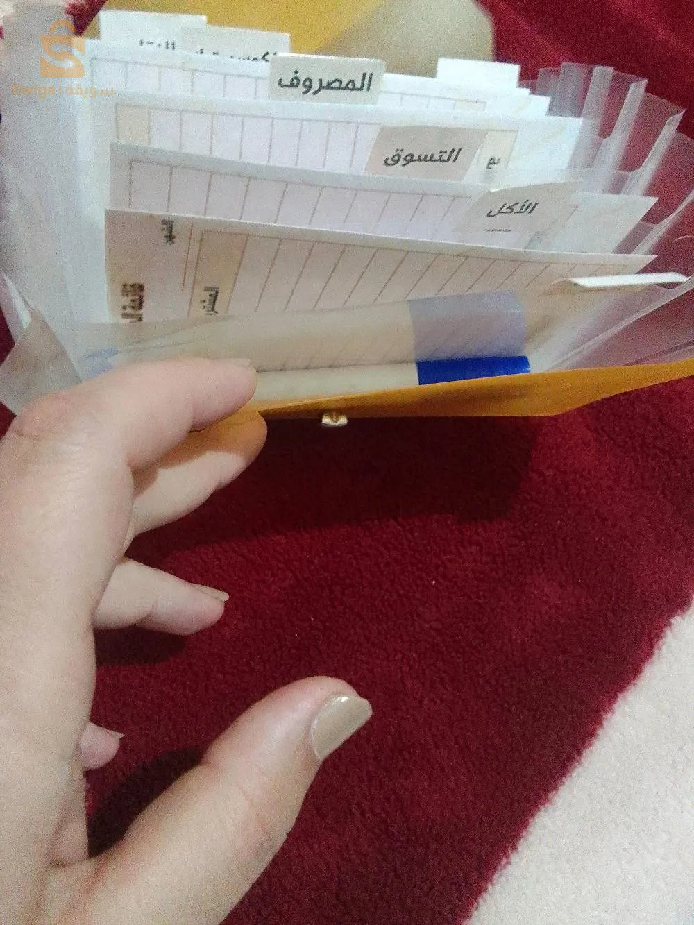 منظم الميزانية