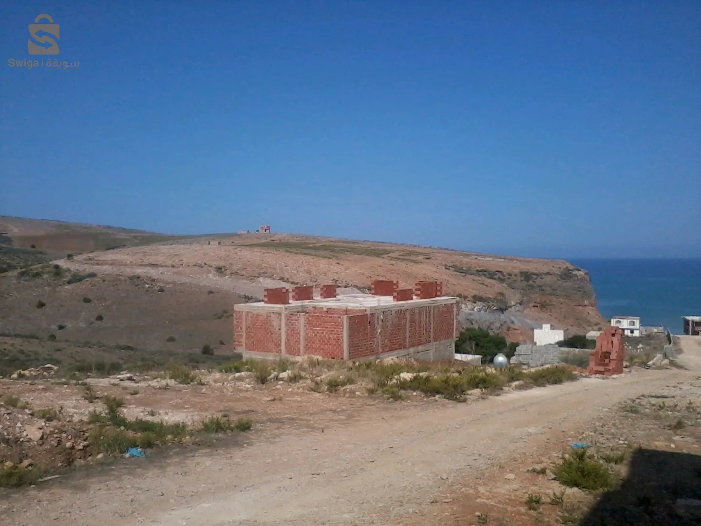 البحيرة  سوق الثلاثاء دائرة باب العسة