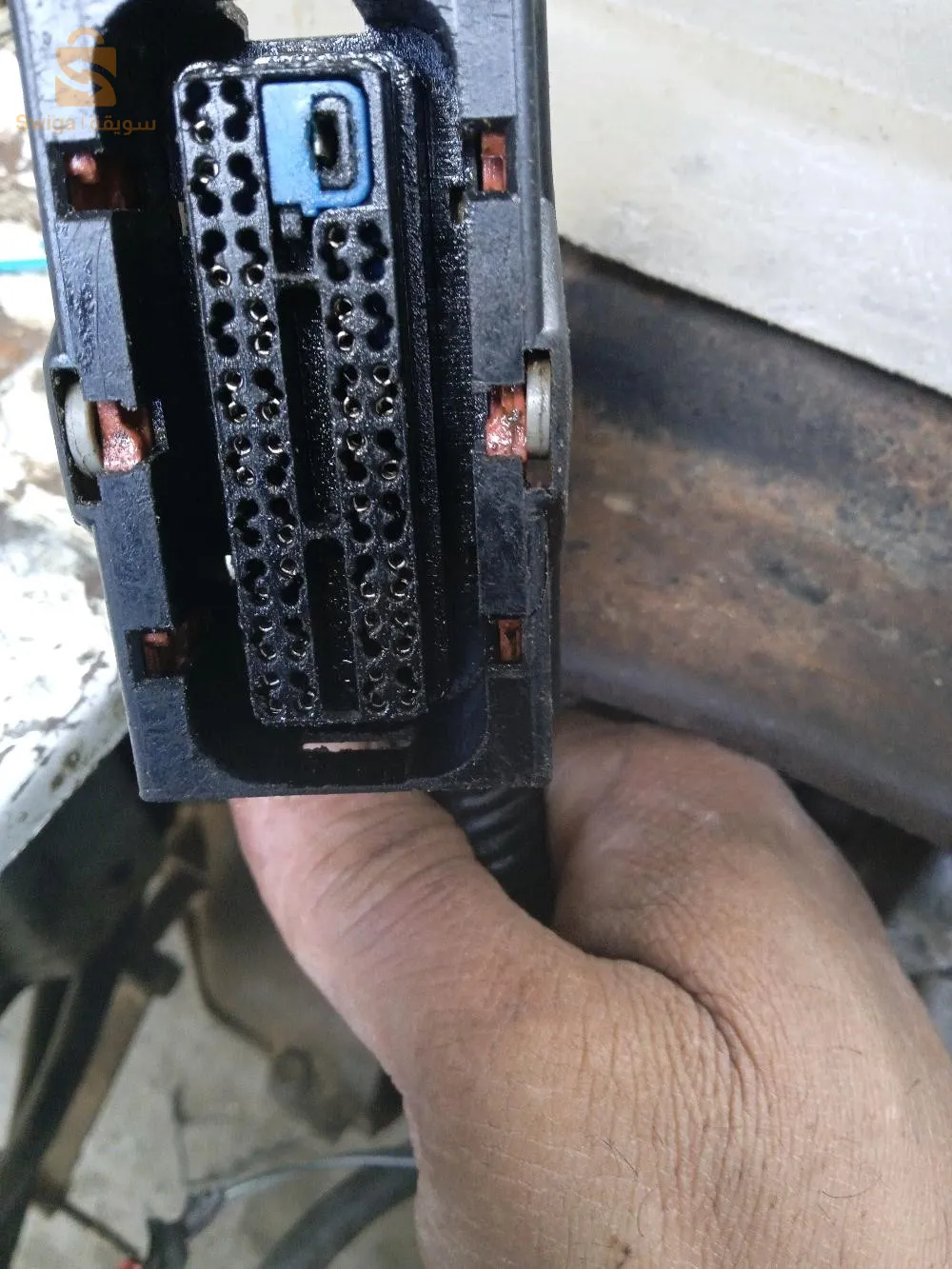 يخصني فيشة تاع لاميموار