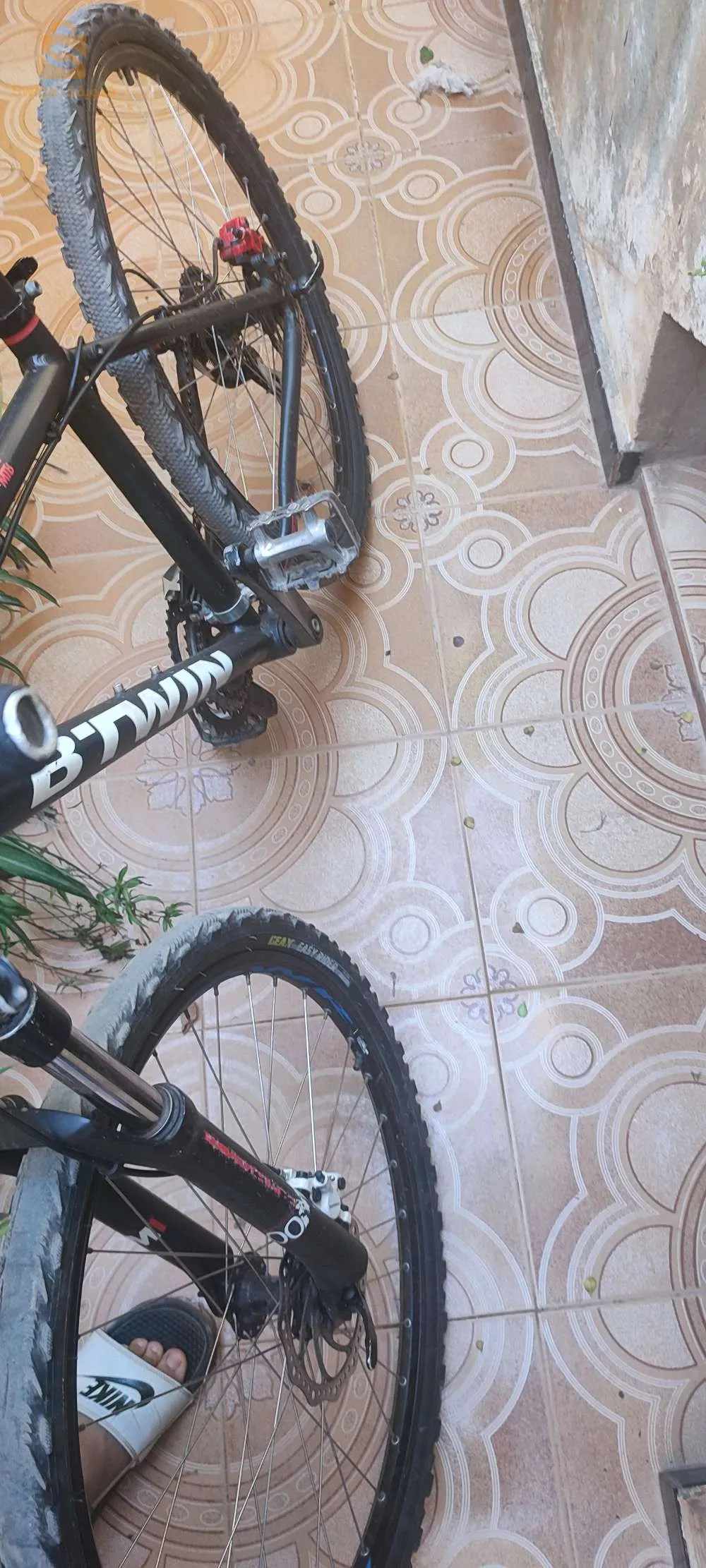 Trek + 2 bitwin