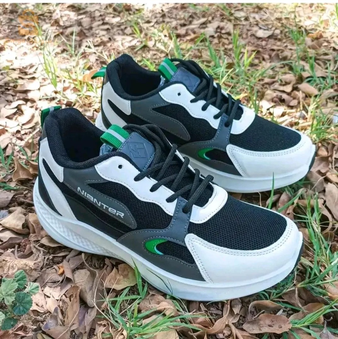 عين الصفراء ولاية النعامة