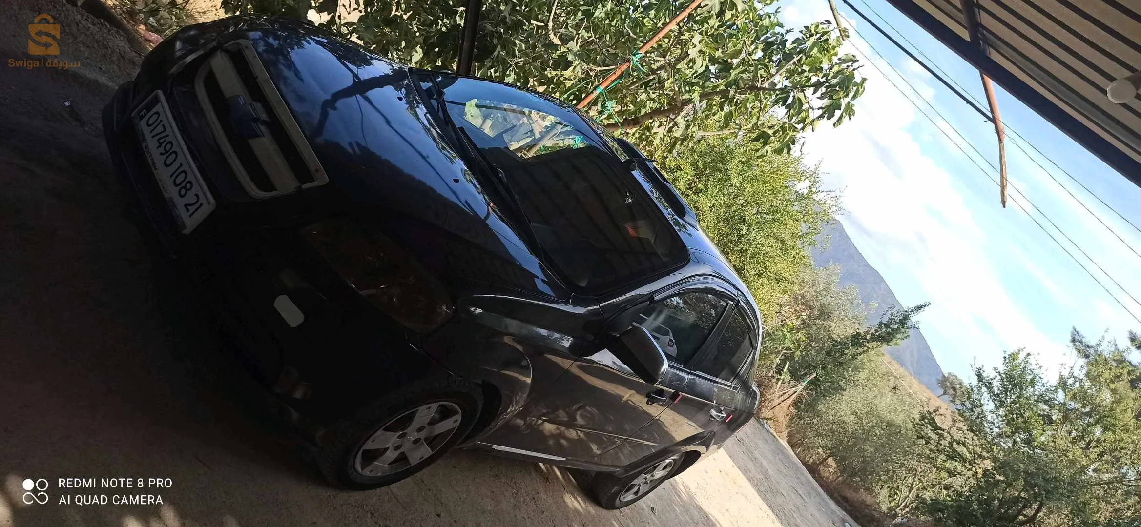 تمالوس