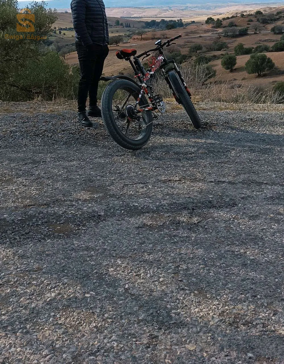 fat bike