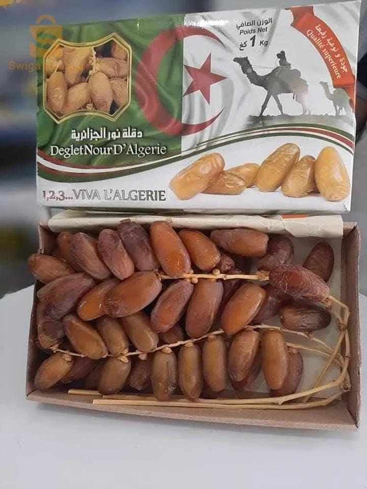 دقلة نور جزائريه ذات جودة عالية ماشاء الله