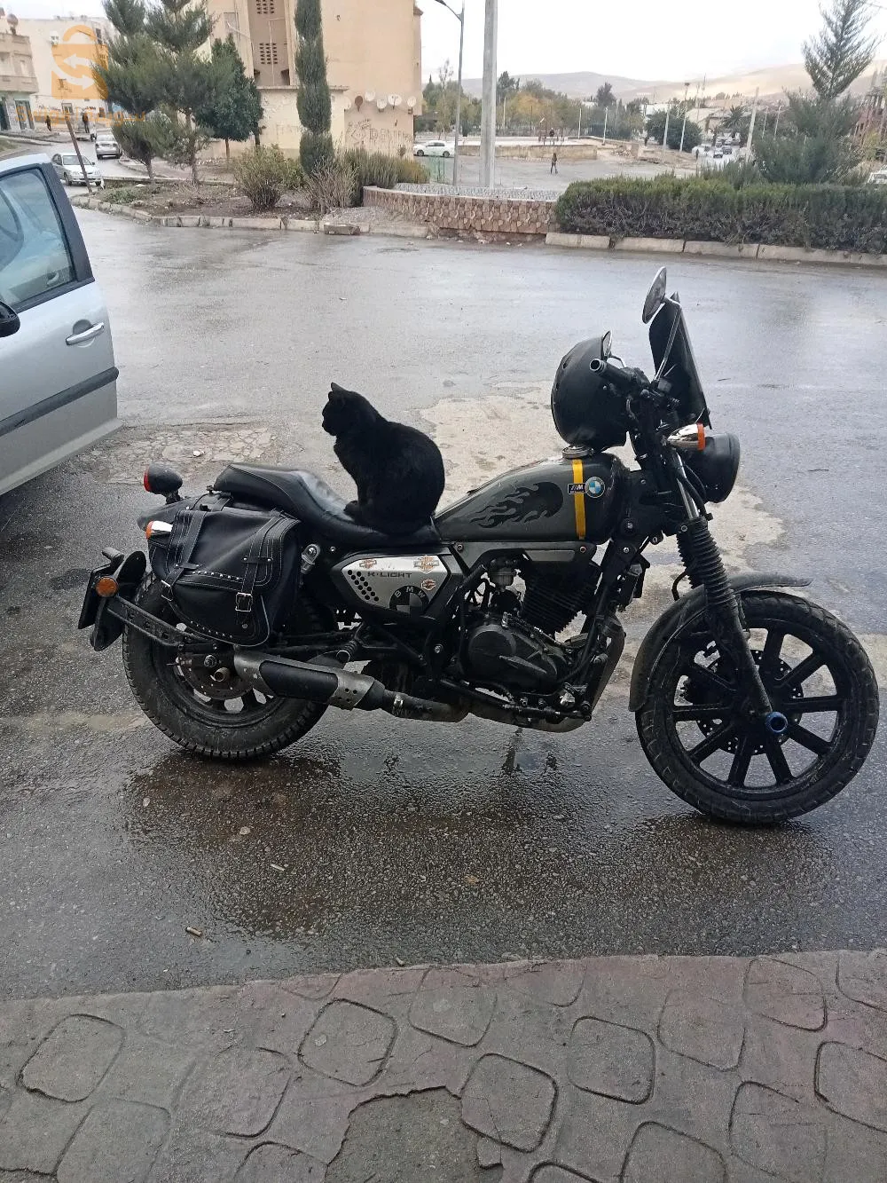 عطاوني فيها 21