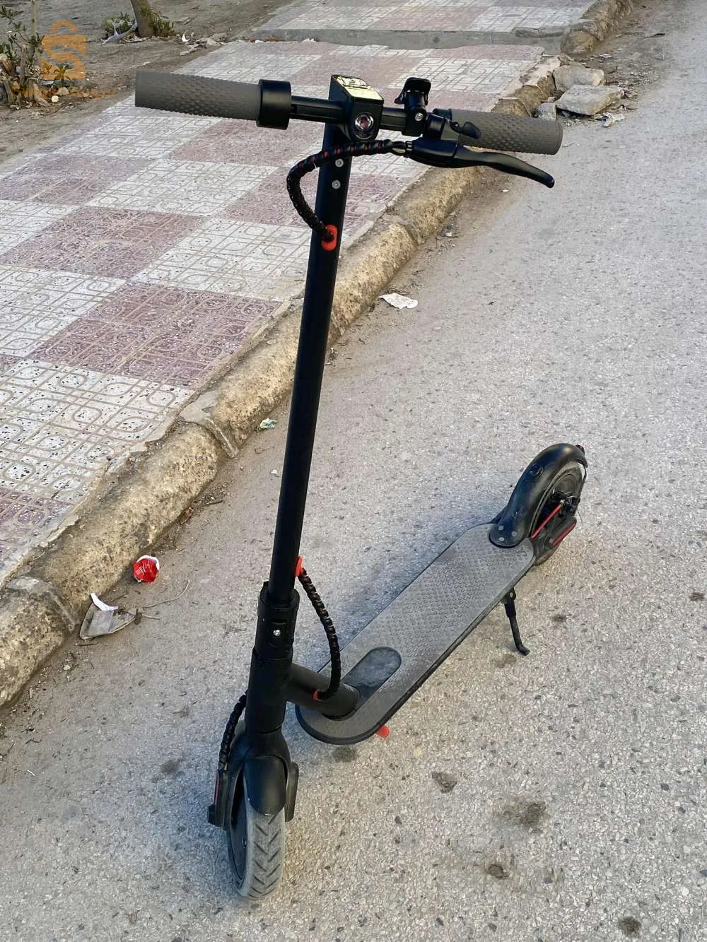 الشريعة ولاية تبسة