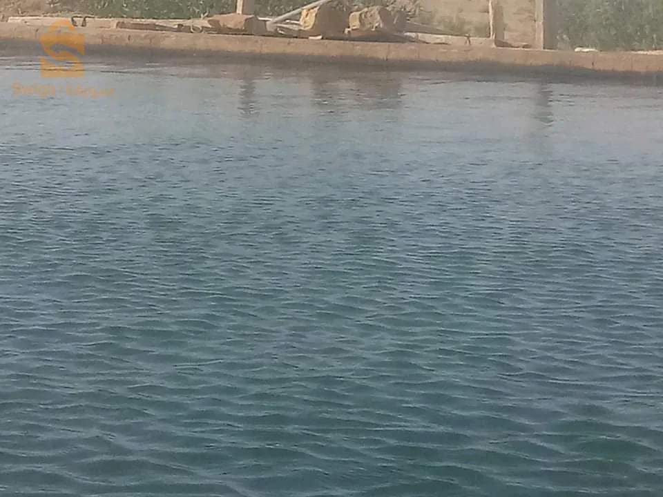 أرض فلاحية للبيع