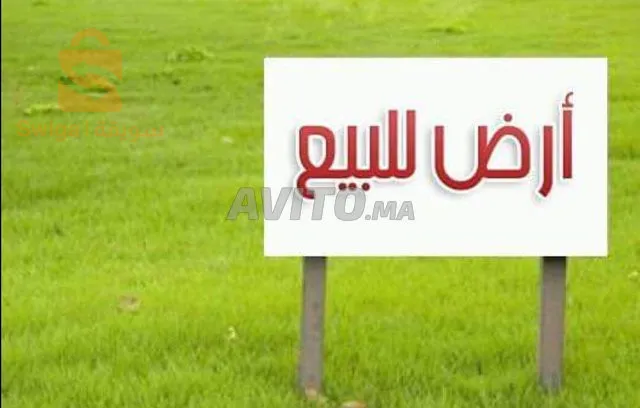 قطعة الأرض 🌎 للبيع