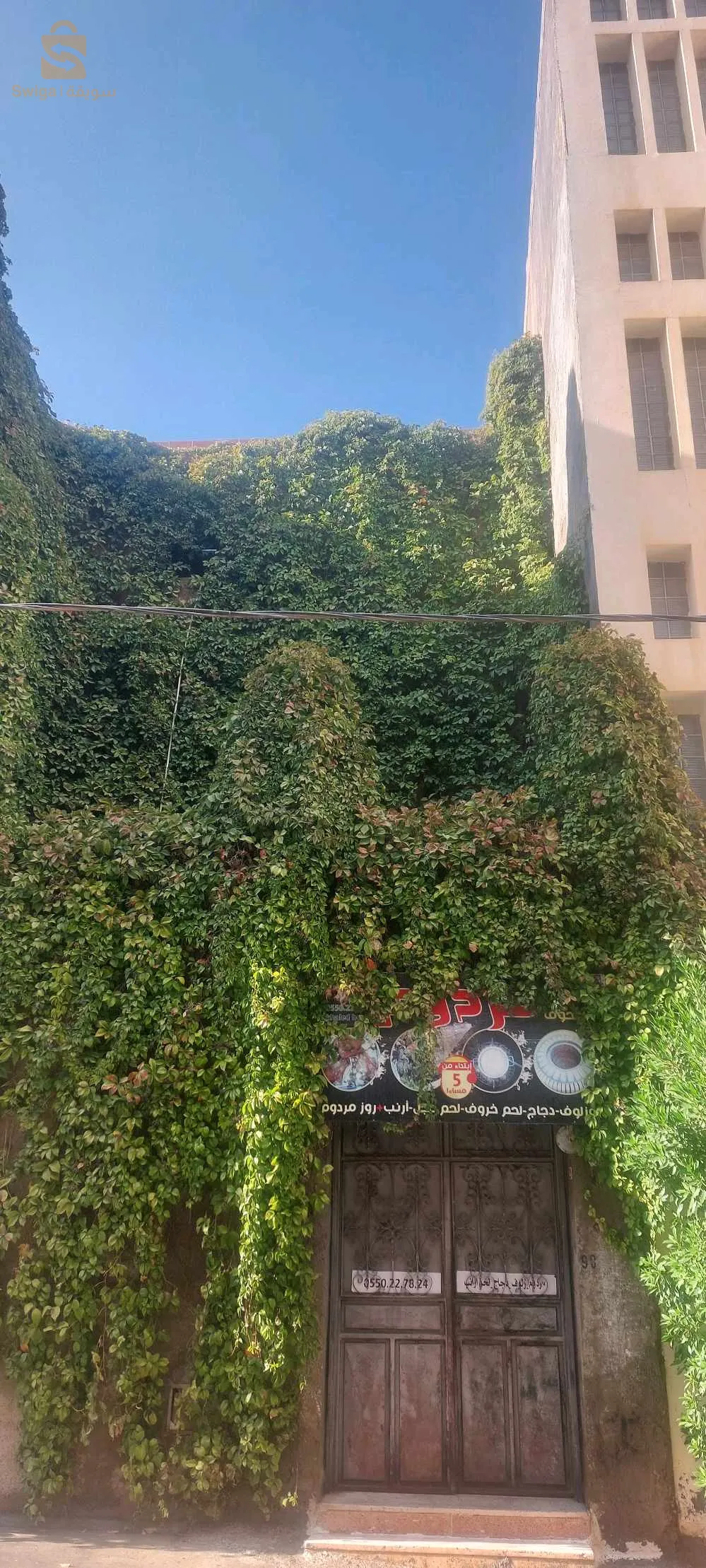 ممرات حي تامشيط خلف مسجد شراد نوار باتنة