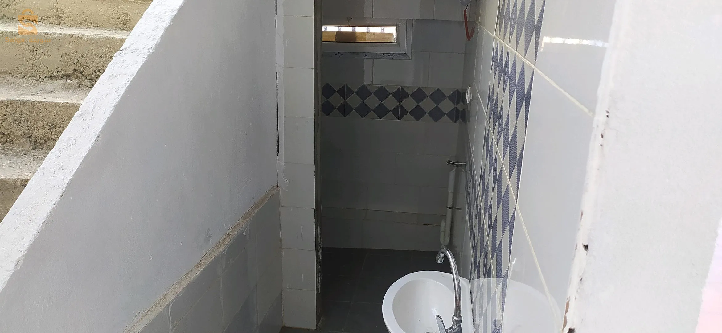 زيتونة لرهاط تيبازة