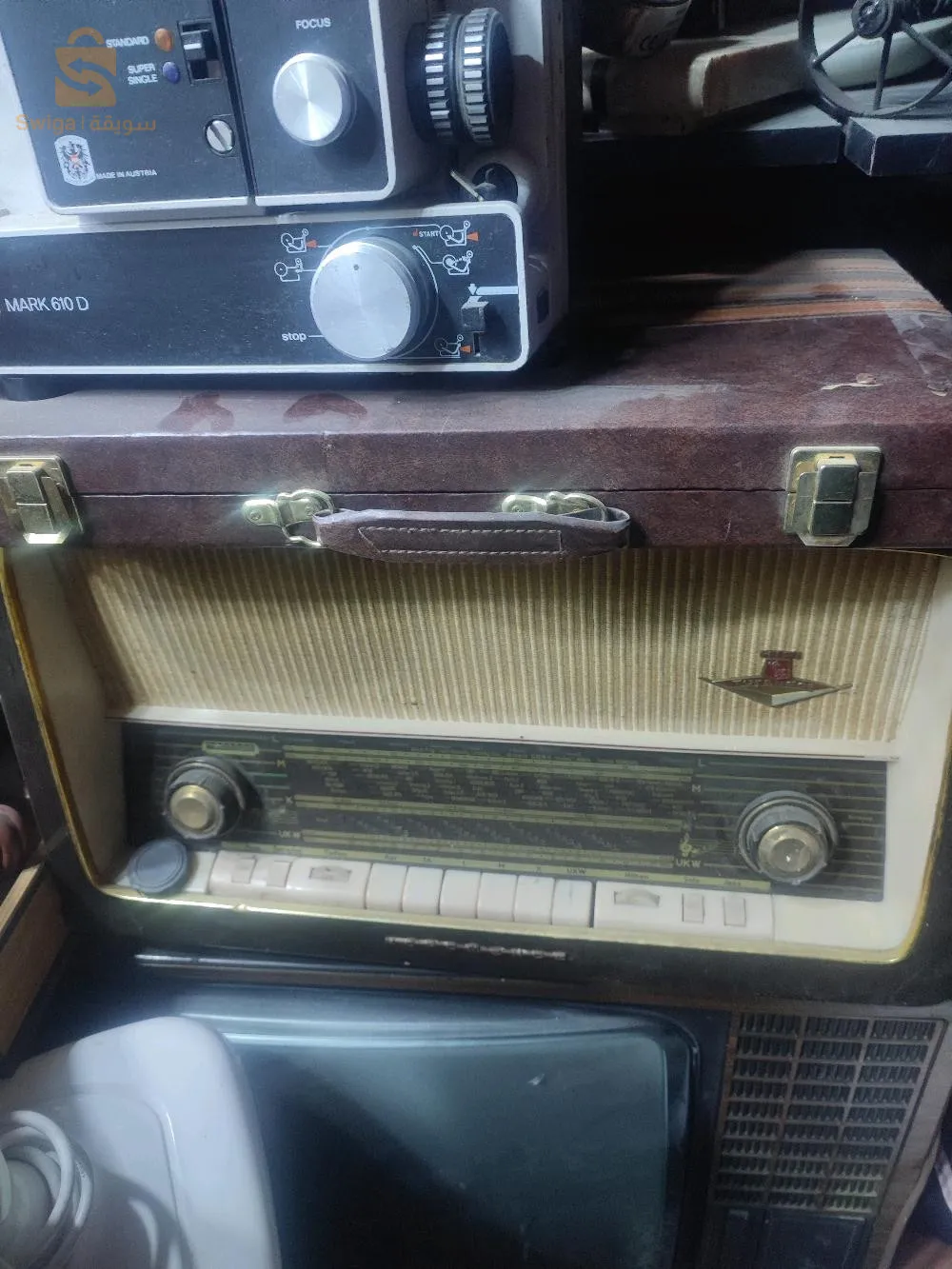 جامعة مسعود زغار العلمة