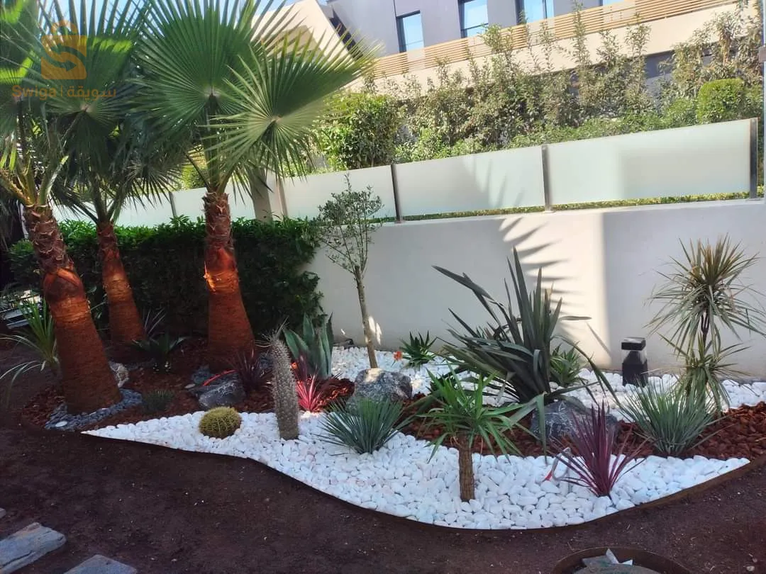 Bienvenue pour tout les travaux jardinage et décoration
Contacter chez nous sur Tél/whatsApp 0772157007/0673169475🌷🌳🌴🌹🌲🌻🌵