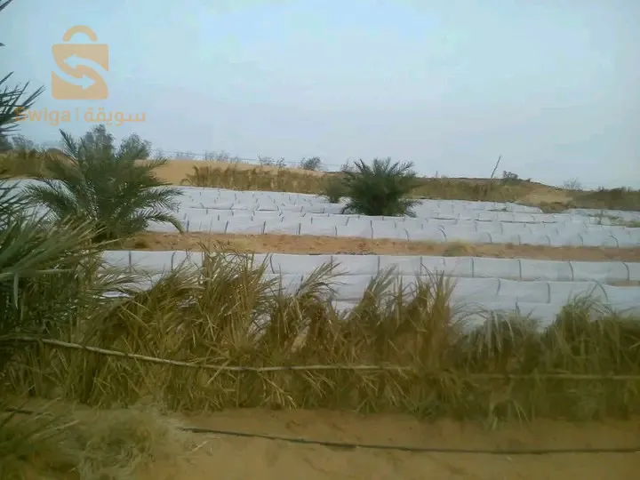 أرض فلاحية للبيع