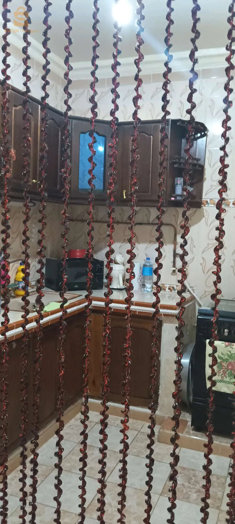 ماسرة مستغانم