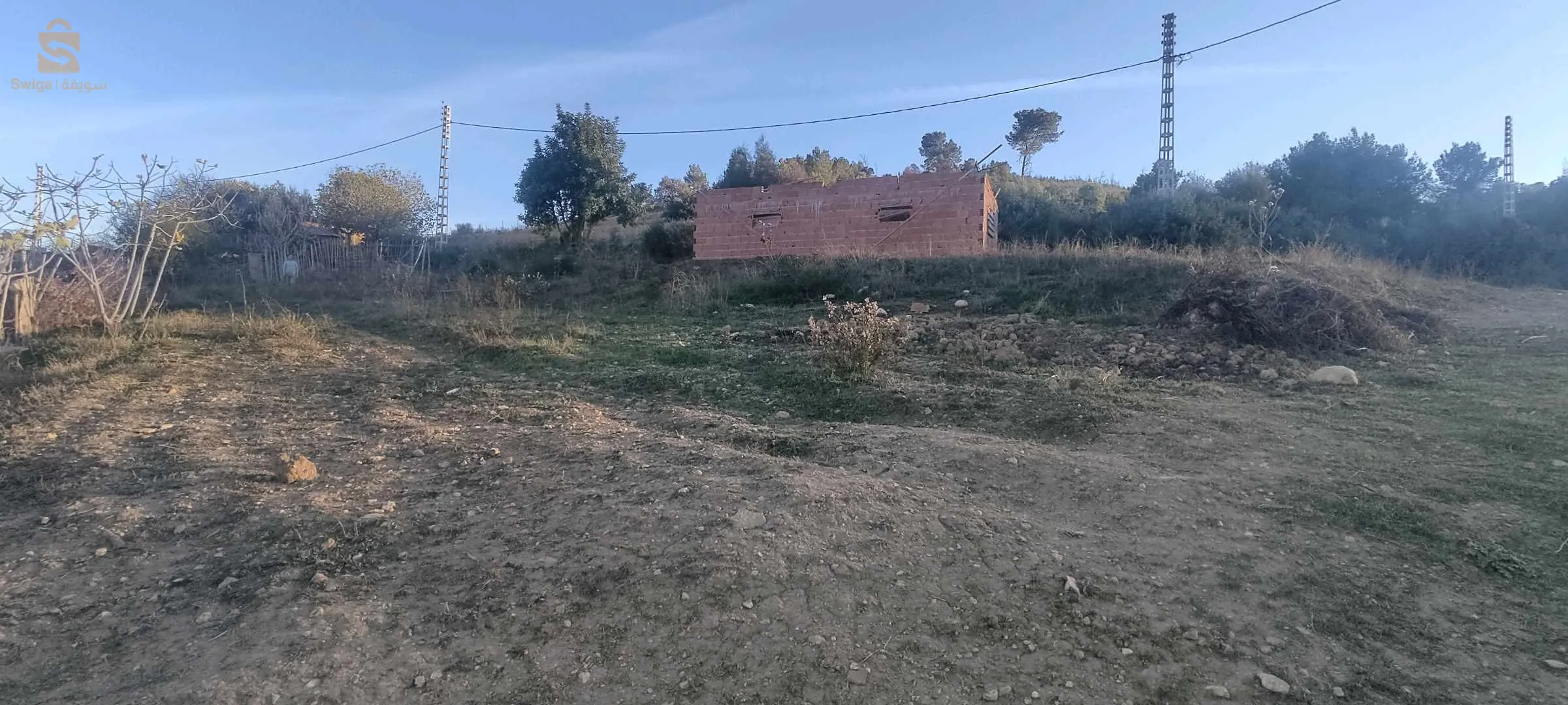 أرض فلاحية للبيع