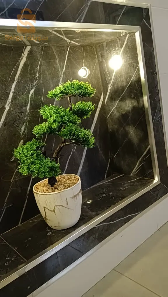 صور الغزلان