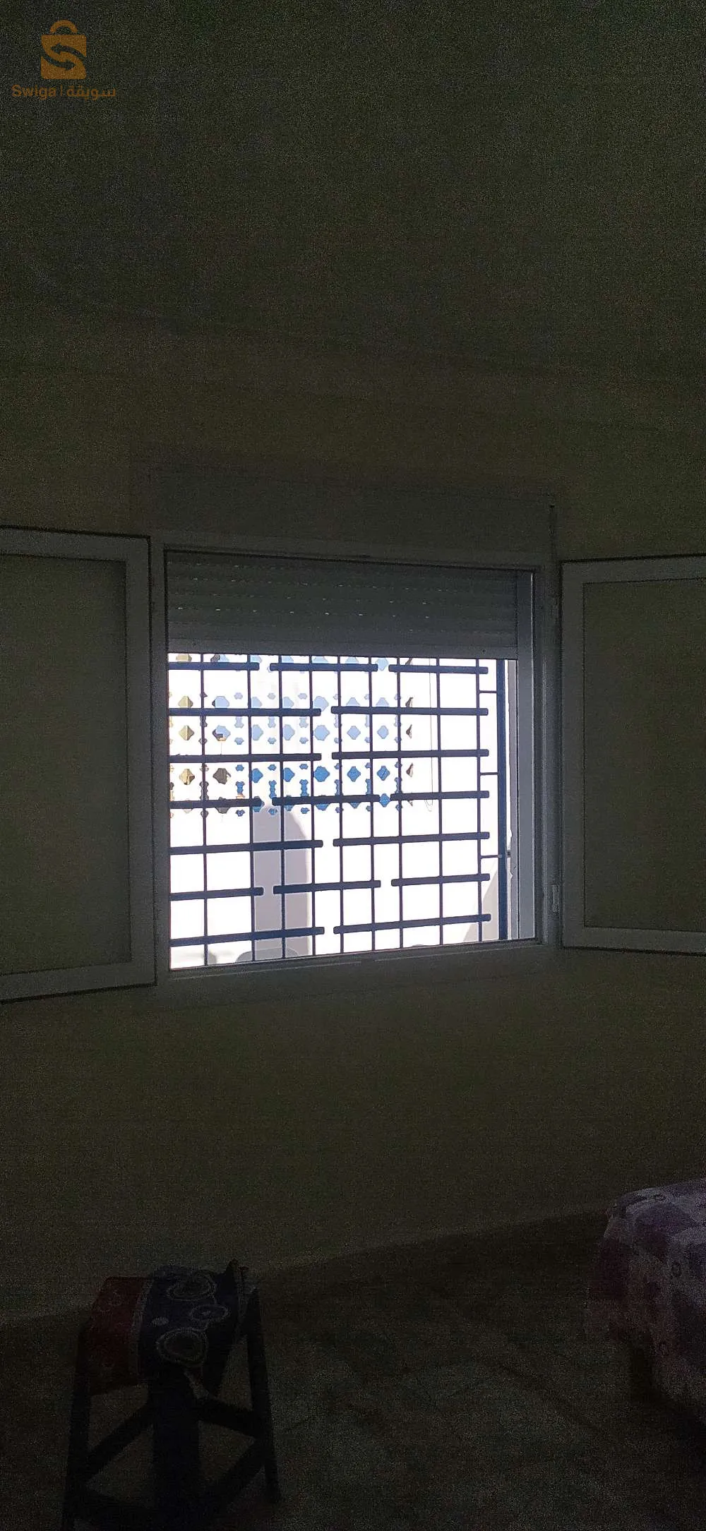 زيتونة لرهاط تيبازة