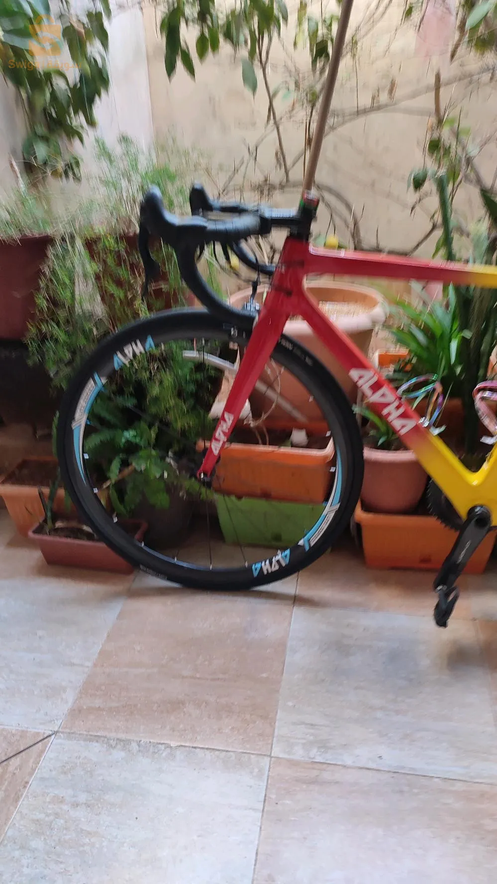 vélo course carbone