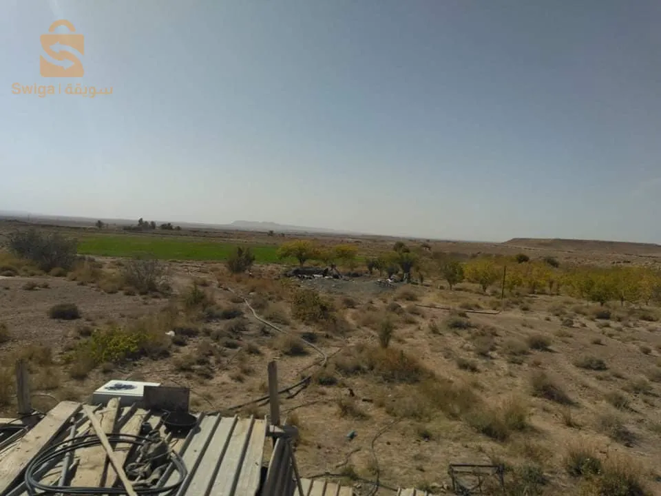 Terrain Agricole A Vendre