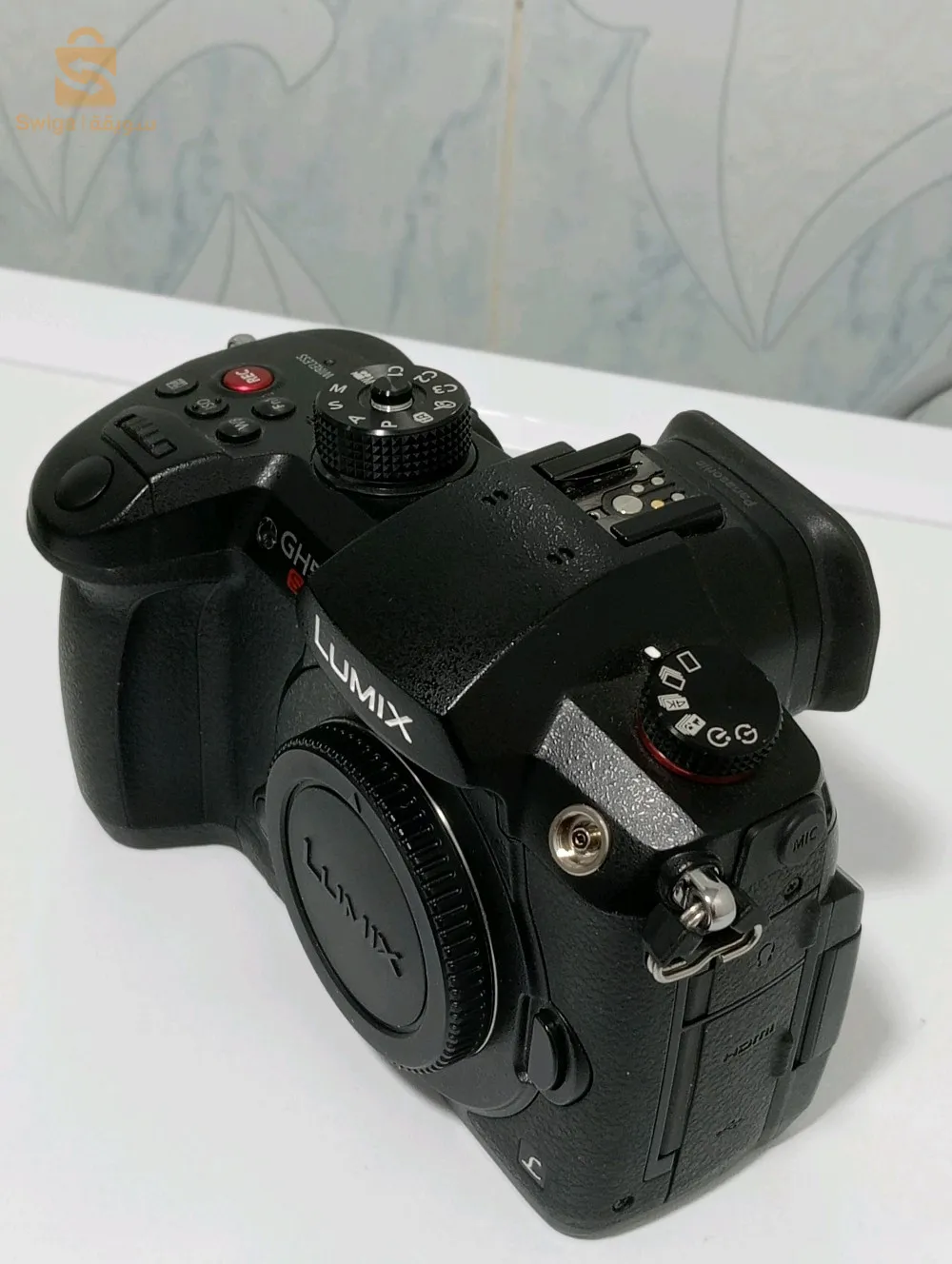 lumix gh5s