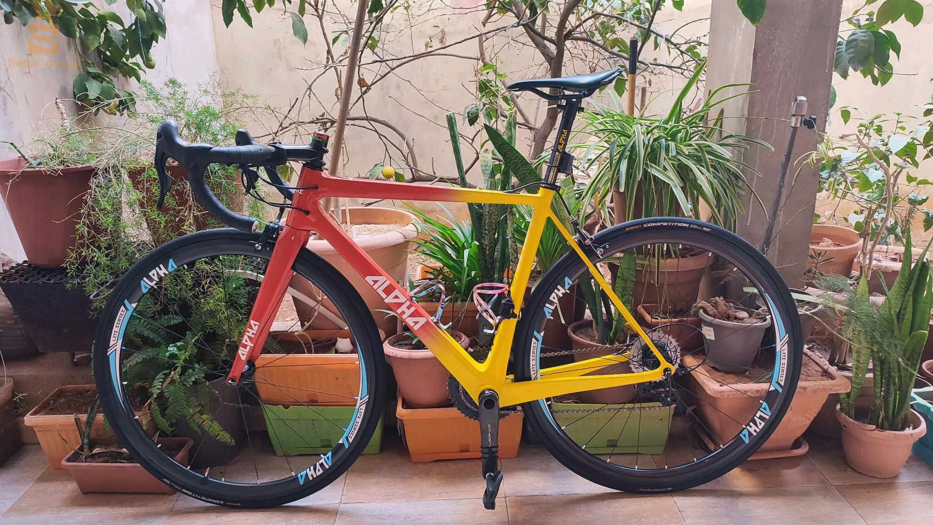 vélo course carbone