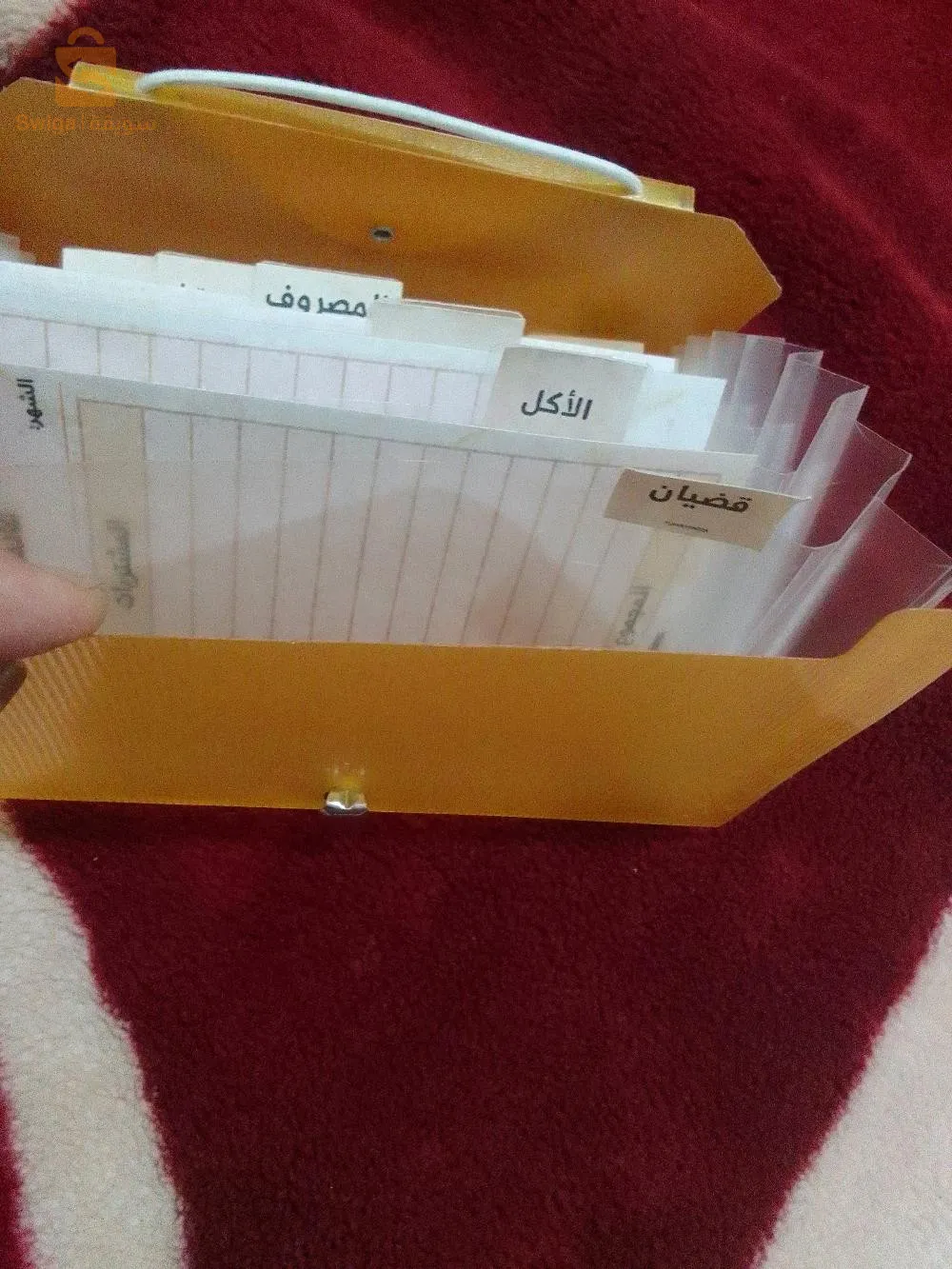 منظم الميزانية