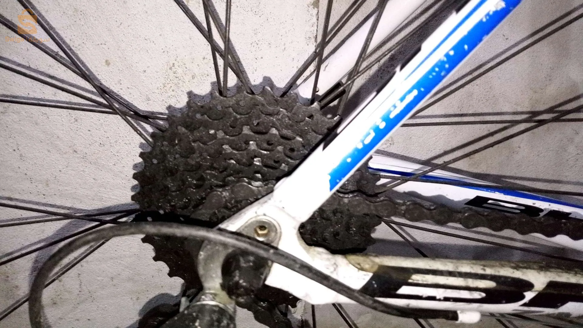 درتجة سباق للمحترفين