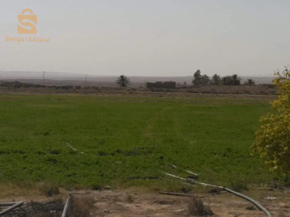 أرض فلاحية للبيع