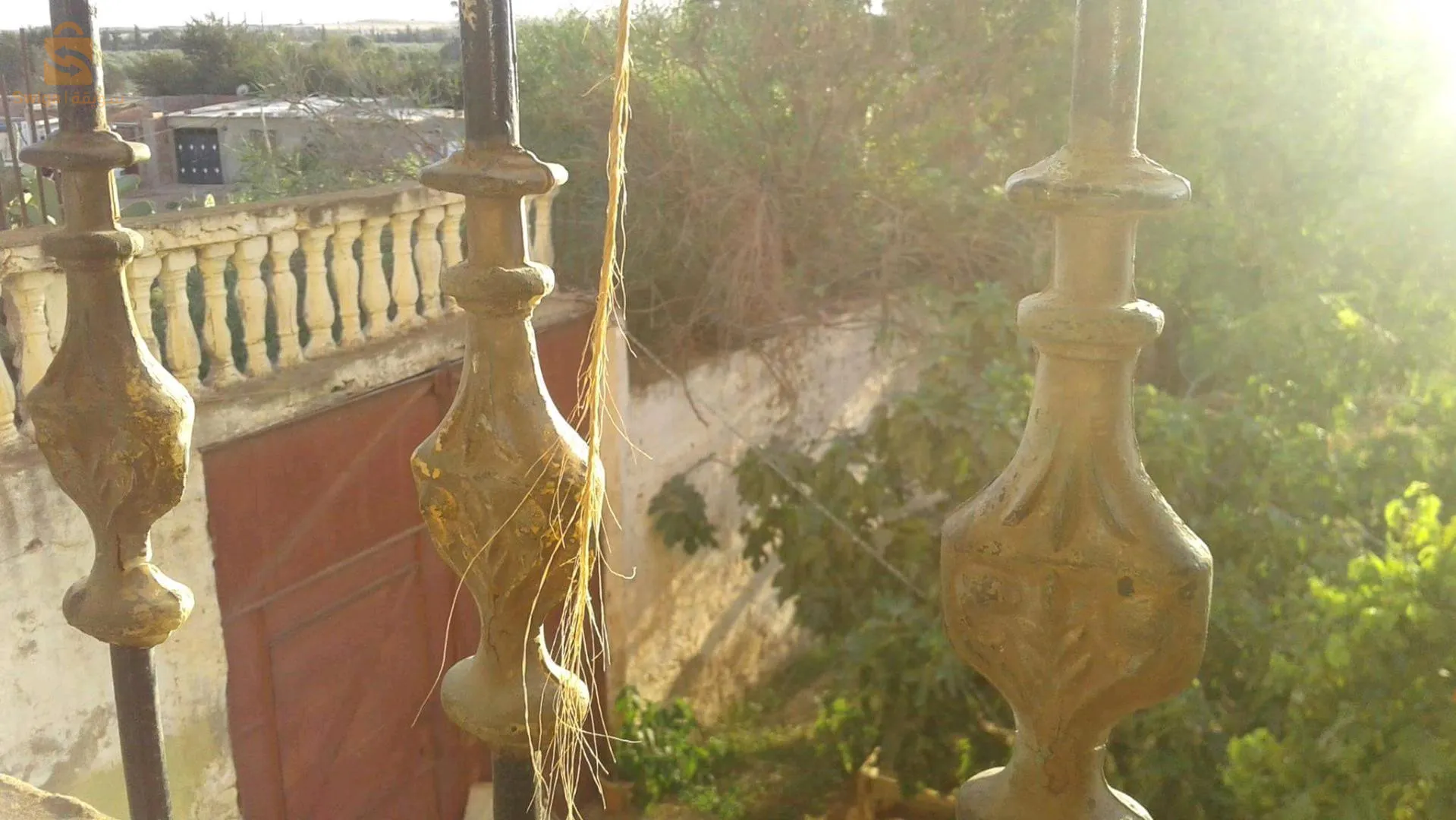 البريدية