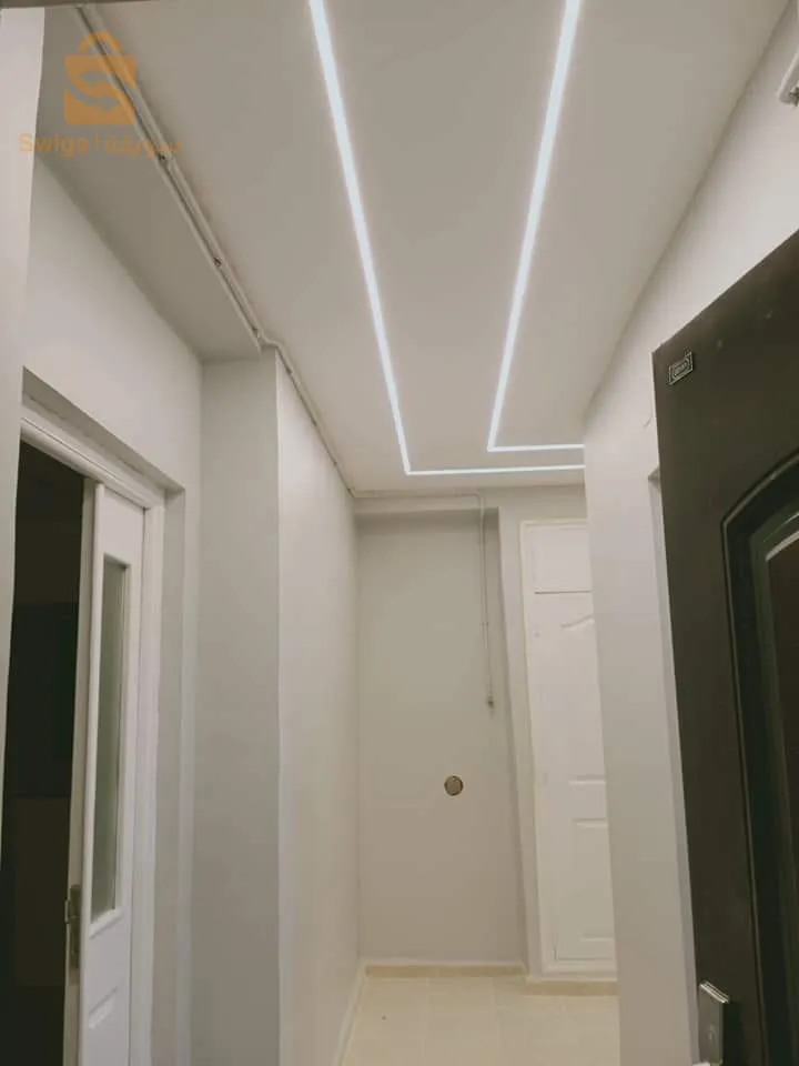 placoplatre et peinture décorative et pvc