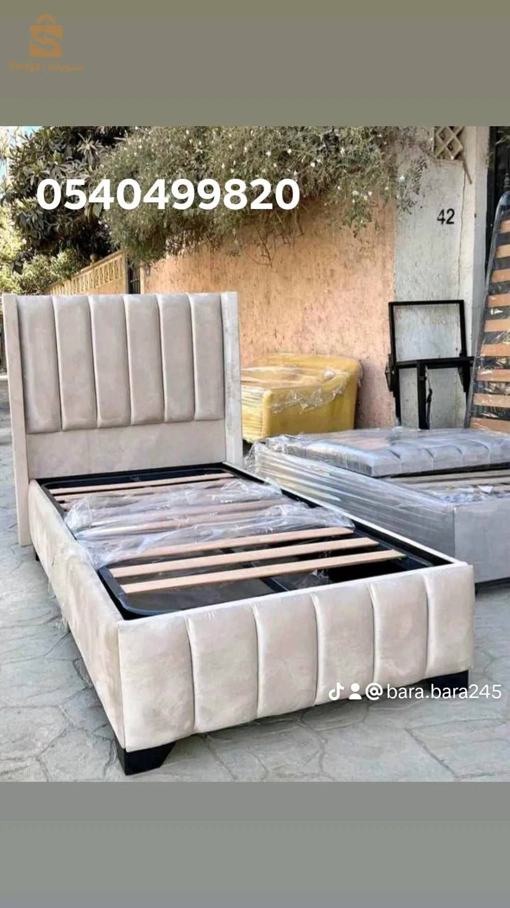شراربة الكاليتوس