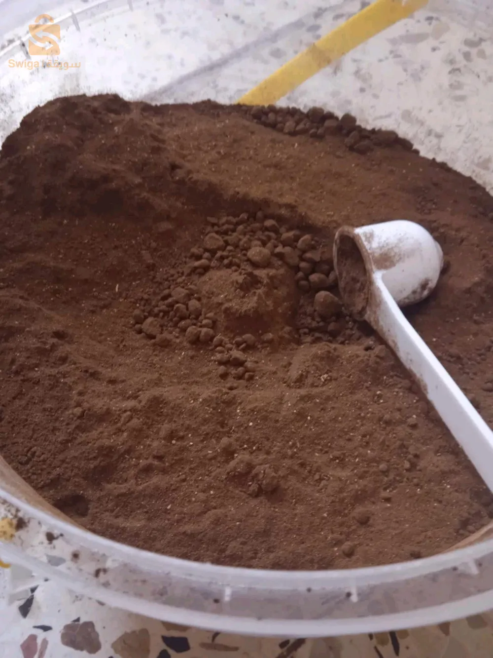 الجزائر