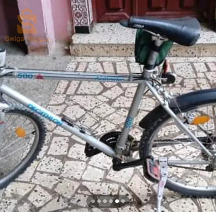 فيلو دورجين