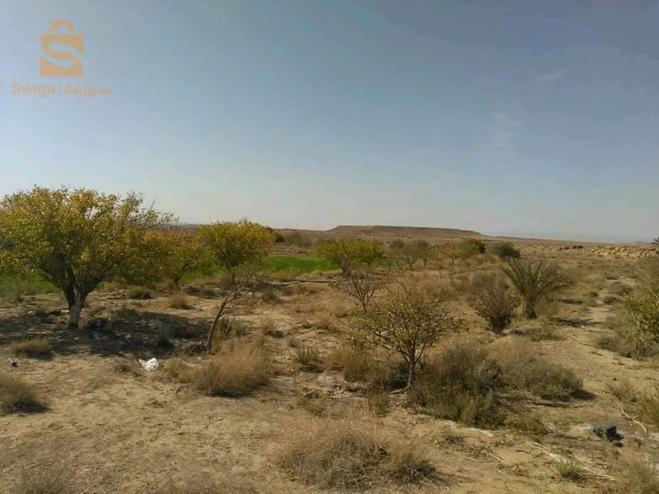 أرض فلاحية للبيع