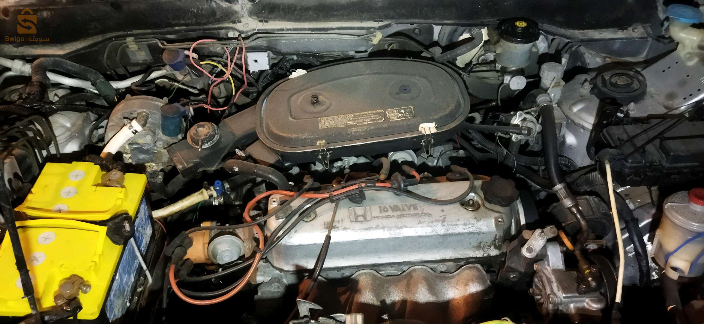 هوندا CR-V 2005 21 سكيكدة