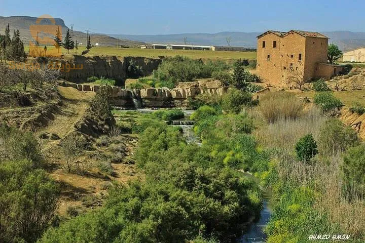 للبيع أرض فلاحية صالحة للإستثمار الفلاحي الإنتاجي فيها 4.27 هكتار فيها زوج فوراجات +رخصة حفر بئر ثالث و فيها بلاط فورم 80 م طول/14 عرض + رخصة بناء غرف تبريد + قاراج لتربية الدواجن(7000جاجة) + مسكن + معلم تاريخي (رحى رحمون) جاية على طريق الوطني رقم 03 (طريق بسكرة)   
#عقد_ملكية+#دفتر_عقاري.