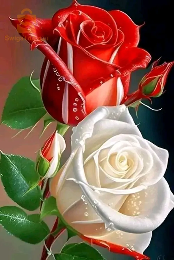 حجامة و تدليك