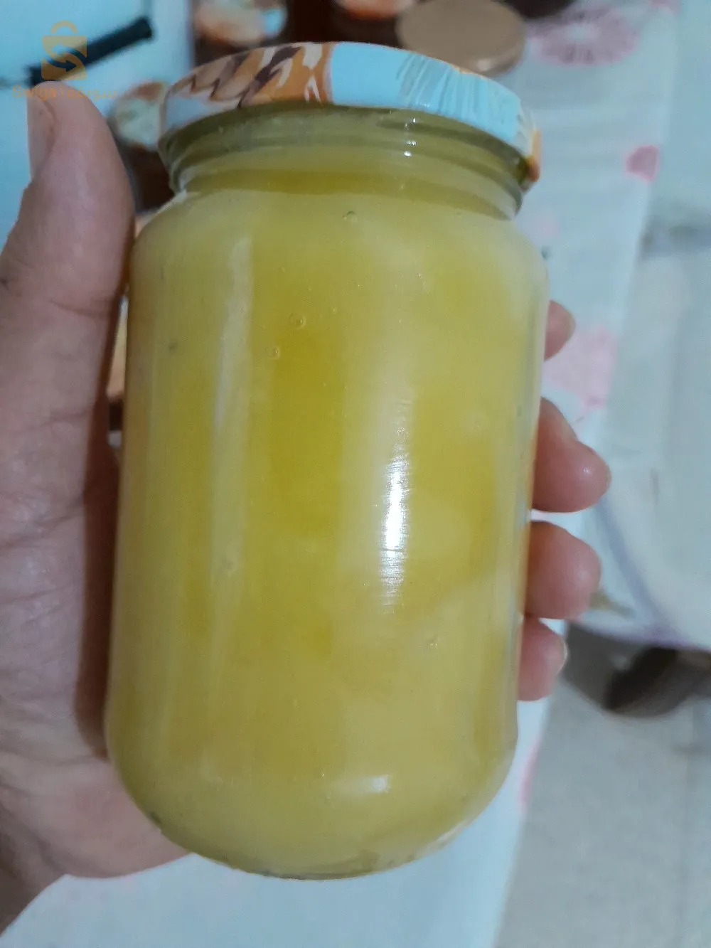 الجزائر